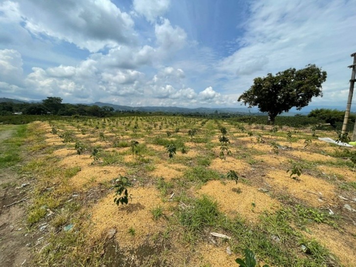 Comunidad La Meseta